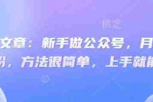 付费文章：新手做公众号，月涨几干粉，方法很简单，上手就能做