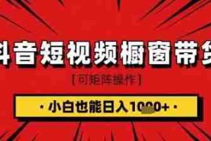 抖音短视频食品橱窗带货，小白轻松上手日入1k+【揭秘】