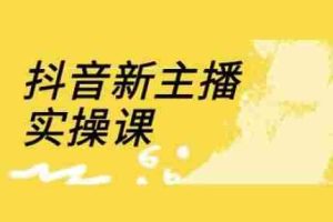 抖音新主播实操课，直播间流量运营线上实操课(18节)