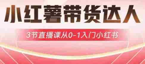 小红薯达人带货启航计划,3节直播课从0-1入门小红书