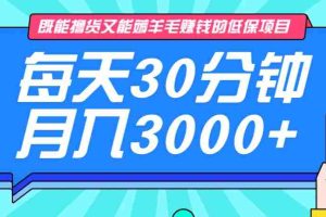 既能撸货又能赚钱的长期低保项目，每天30分钟，多号百分百稳定月入3000+！