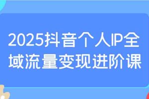 2025抖音个人IP全域流量变现进阶课：选爆品、抖音付费投流、千川投流实操及优化等