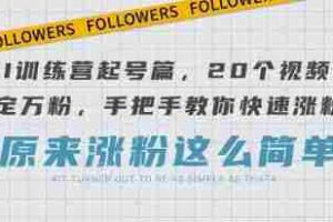 AI训练营起号篇，20个视频搞定万粉，手把手教你快速涨粉