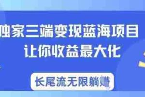 独家三端变现蓝海项目，让你收益最大化，长尾流无限躺挣