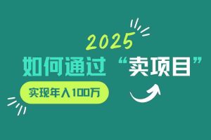 2025年如何通过“卖项目”实现年入100w