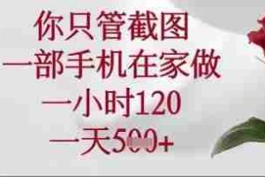 你只管截图，一部手机在家操作，一小时120.一天5张【揭秘】