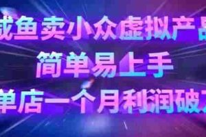 咸鱼卖小众虚拟产品，简单易上手，单店一个月利润破W