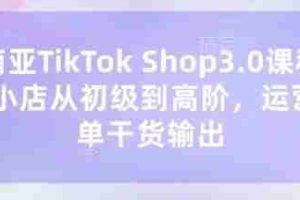 东南亚TikTok Shop3.0课程，TK小店​从初级到高阶，运营出单干货输出