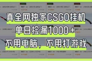 真全网独家CSGO挂机，单日捡漏1000+，不用电脑，不用养号