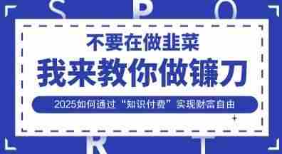 韭菜生涯终结者,我来教你做镰刀,2025如何通过“知识付费”实现财F自由【揭秘】