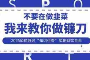韭菜生涯终结者，我来教你做镰刀，2025如何通过“知识付费”实现财F自由【揭秘】