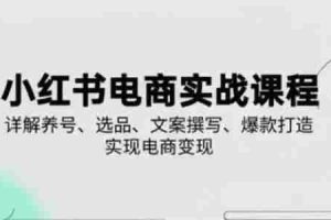小红书从0-1实操课(2023-2025)，详解养号、选品、文案撰写、爆款打造实现电商变现