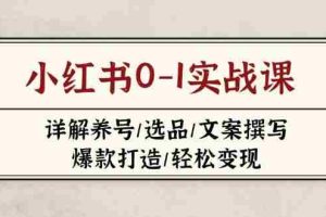 小红书0-1实战课(2023-2025)，详解养号/选品/文案撰写/爆款打造/轻松变现