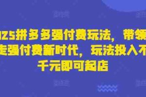 2025拼多多强付费玩法，带领全网走强付费新时代，玩法投入不超千元即可起店