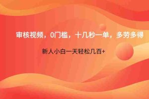 审核视频，0门槛，十几秒一单，多劳多得，新人小白一天轻松几百+