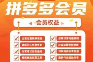 2025拼多多运营实战课，40节全流程教学，覆盖拼多多运营全链路