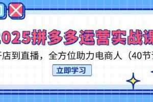 （14259期）2025拼多多运营实战课，从开店到直播，全方位助力电商人（40节课）