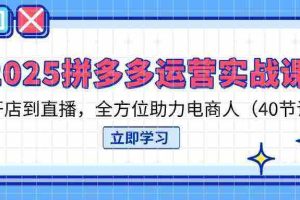 2025拼多多运营实战课，从开店到直播，全方位助力电商人（40节课）