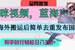 AI猫咪视频蓝海赛道，操作简单，直接海外搬运，简单去重，操作简单，有手就行日入3张