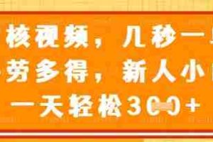 最新审核视频，几秒一单，多劳多得，新人小白一天轻松3张【揭秘】