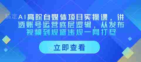 AI高阶自媒体项目实操课,讲透账号运营底层逻辑,从发布视频到规避违规一网打尽