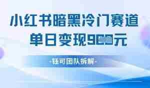 小红书冷门”暗黑”赛道，单日收益多张