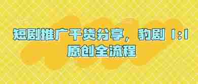 短剧推广干货分享，豹剧 1:1原创全流程