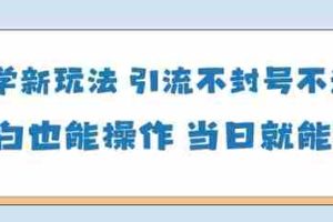 国学新玩法，引流不封号不违规小白也能操作，当日就能变现