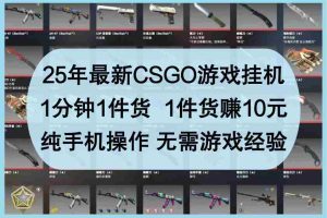 25年最新CSGO游戏挂机，1分钟1件货，1件货赚10元，纯手机操作，无需游戏经验