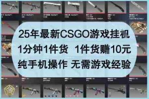 25年最新CSGO游戏挂G，1分钟1件货，1件货挣10元，纯手机操作，无需游戏经验【揭秘】