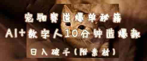 宠物赛道爆单秘籍：AI+数字人10分钟造爆款，日入1k