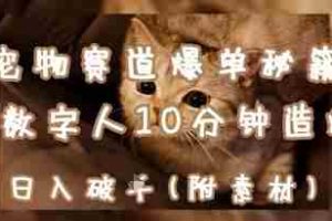 宠物赛道爆单秘籍：AI+数字人10分钟造爆款，日入1k