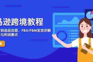 亚马逊跨境教程，店铺注册到选品攻略，FBA/FBM发货讲解，把握风险与利润