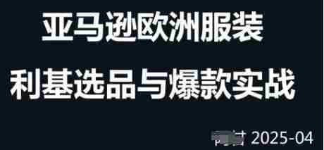 跨境电商选品案例24-25年，聚焦跨境电商选品策略与运营优化，助力卖家挖掘蓝海市场