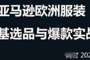 跨境电商选品案例24-25年，聚焦跨境电商选品策略与运营优化，助力卖家挖掘蓝海市场