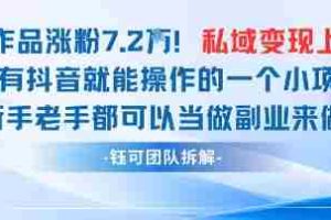 抖音私域项目23条作品涨粉7.2W，私域变现1W