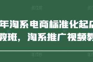 2025年淘系电商标准化起店流程私教班，淘系推广视频教程
