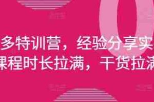 拼多多特训营，经验分享实操，课程时长拉满，干货拉满(更新25年4月)