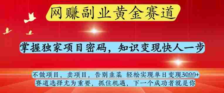 网创副业黄全赛道，掌握独家项目密码，知识变现快人一步，告别韭菜轻松实现单日变现1k+【揭秘】