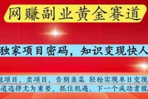 网创副业黄全赛道，掌握独家项目密码，知识变现快人一步，告别韭菜轻松实现单日变现1k+【揭秘】