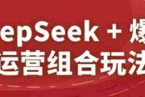 DeepSeek+爆品运营组合玩法，2025淘系精品课