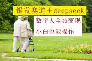 银发赛道+deepseek数字人全域变现，小白也能操作