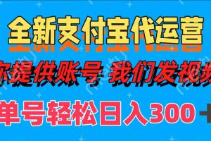 全新支付宝代运营你提供账导 我们发视频单号轻松日入300+