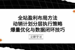（14698期）全站盈利布局方法：动销计划分层执行策略，爆量优化与数据闭环技巧