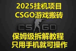 2025挂G项目，CSGO游戏搬砖，保姆级拆解教程，只用手机就可操作【揭秘】