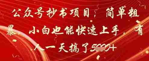 公众号抄书项目，简单粗暴，小白也能快速上手，有人一天搞了1k+