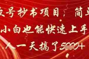 公众号抄书项目，简单粗暴，小白也能快速上手，有人一天搞了1k+