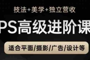 PS高级后期进阶课（技法+美学+独立营收），适合平面摄影广告设计等