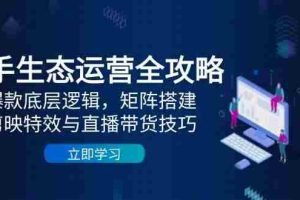 快手生态运营全攻略：爆款底层逻辑，矩阵搭建，剪映特效与直播带货技巧