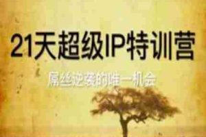 21天超级IP特训营，屌丝逆袭的唯一机会